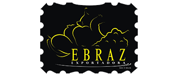 EBRAZ - ENG - 